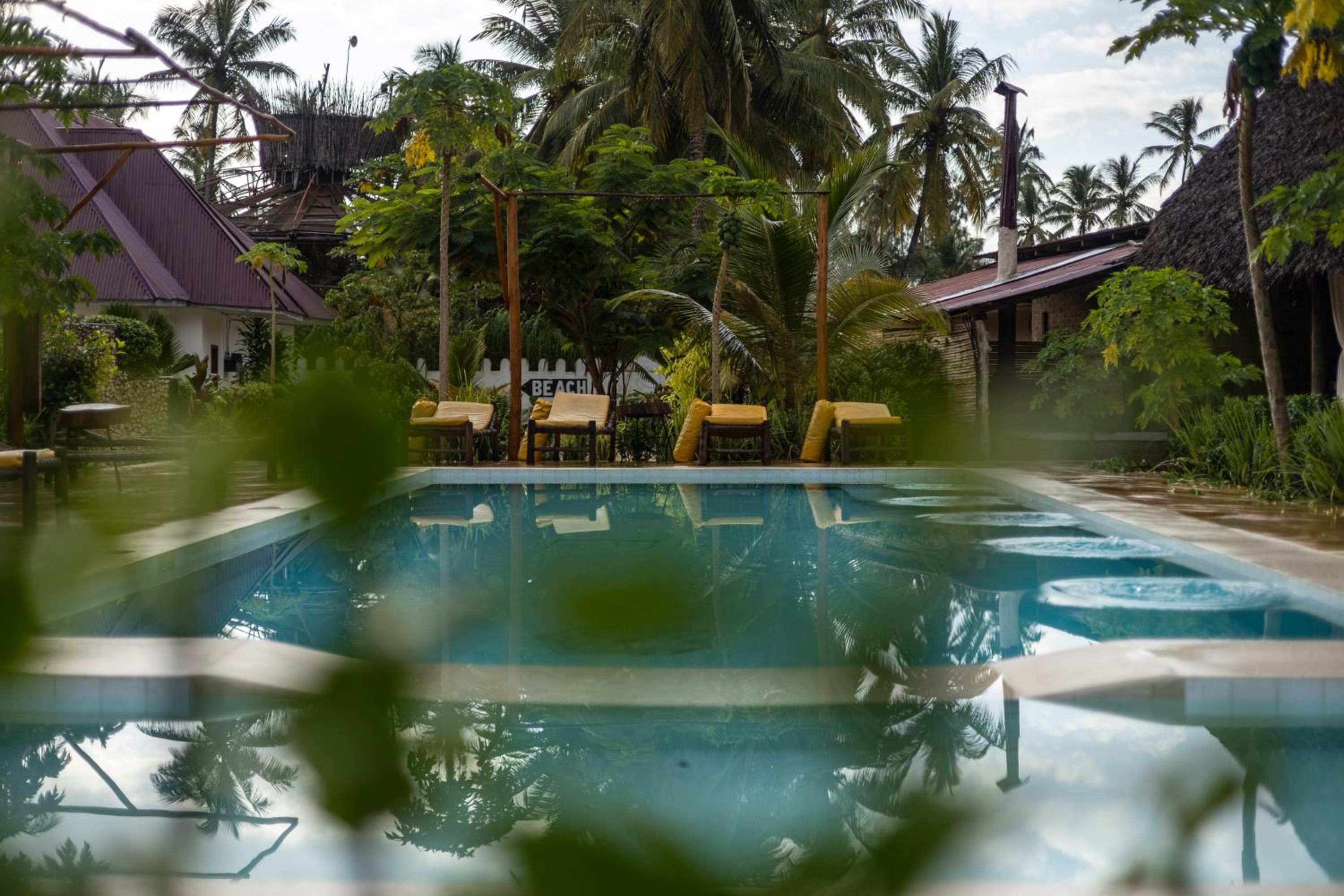 The pool seen through garden leaves, with yellow loungers and thatched roofs beyond.
