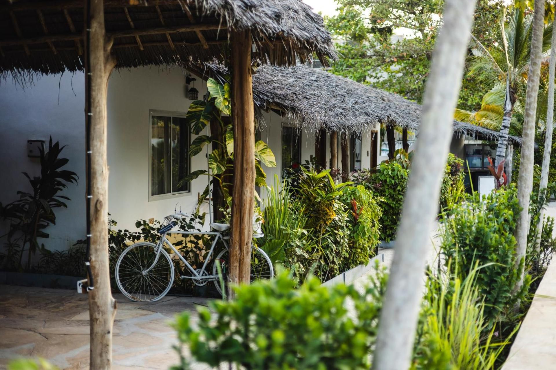 A white bicycle leaning against a pavilion on the sandy garden path, among green plants.